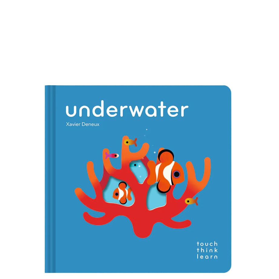 TouchThinkLearn Books