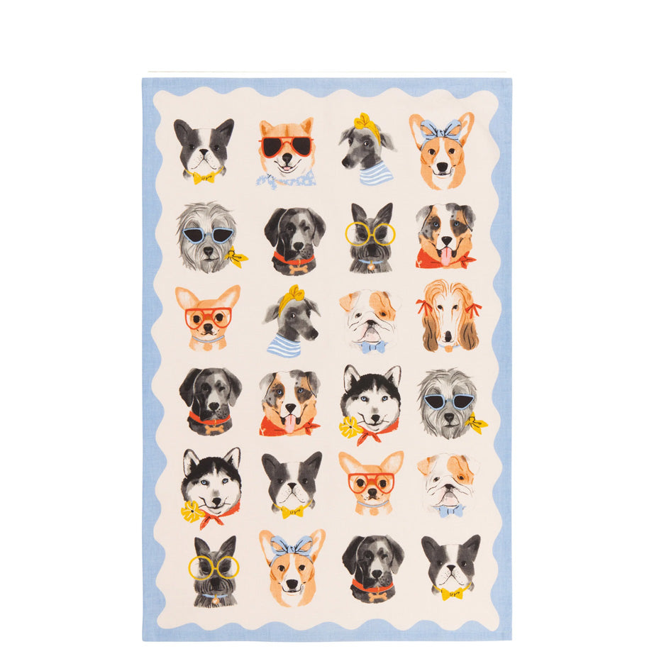 Danica Studio Cotton Dishtowels