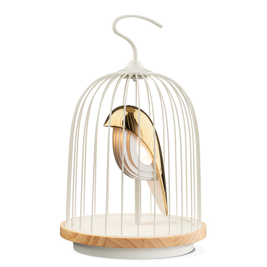 JinGoo Bluetooth Speaker