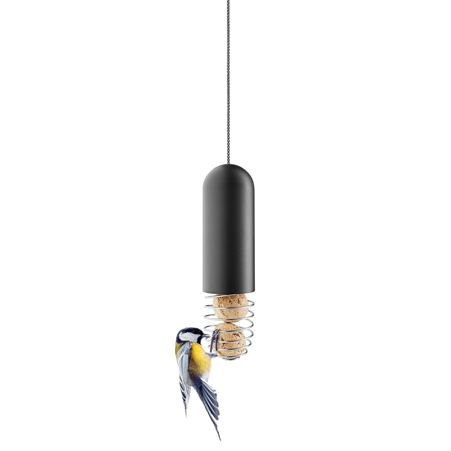 Suet Bird Feeders
