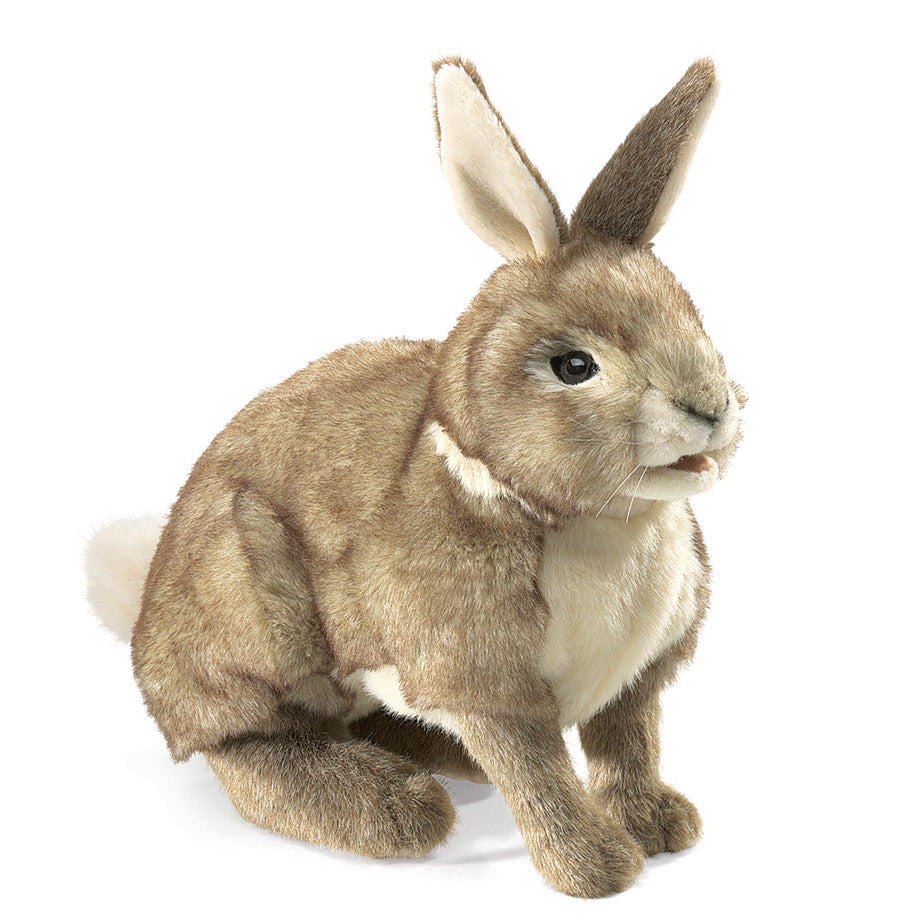 Folkmanis Hand Puppets | Bunnies