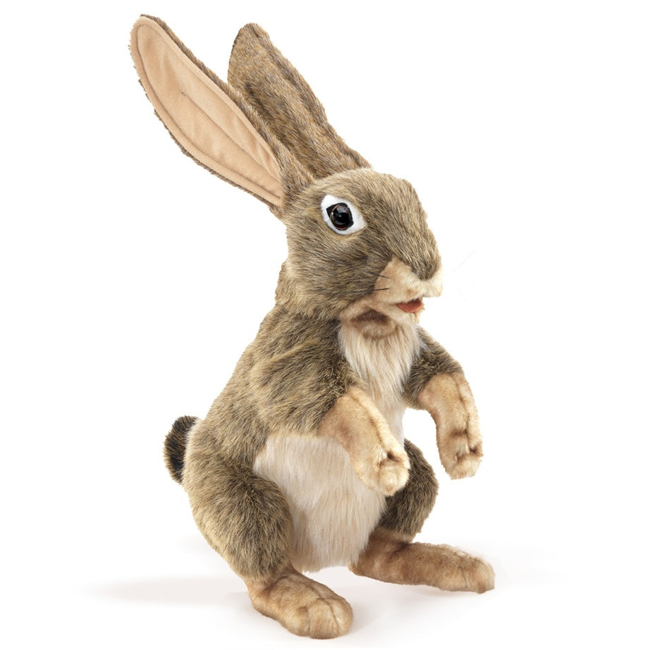 Folkmanis Hand Puppets | Bunnies