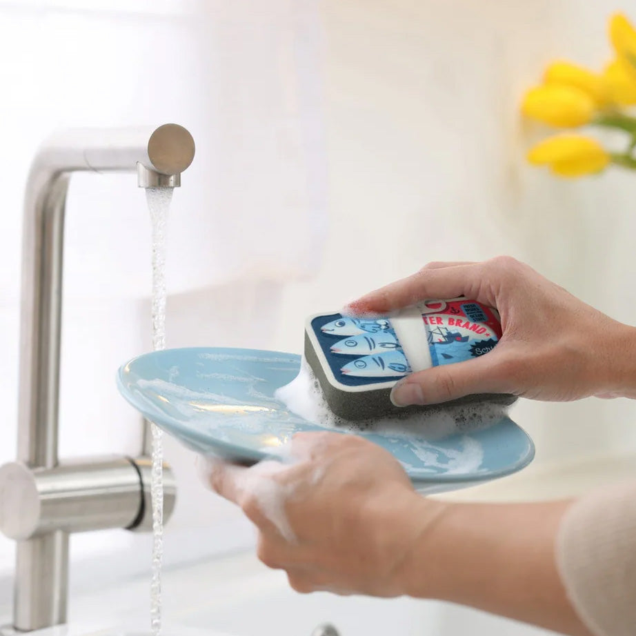 Fred Kitchen Sponges