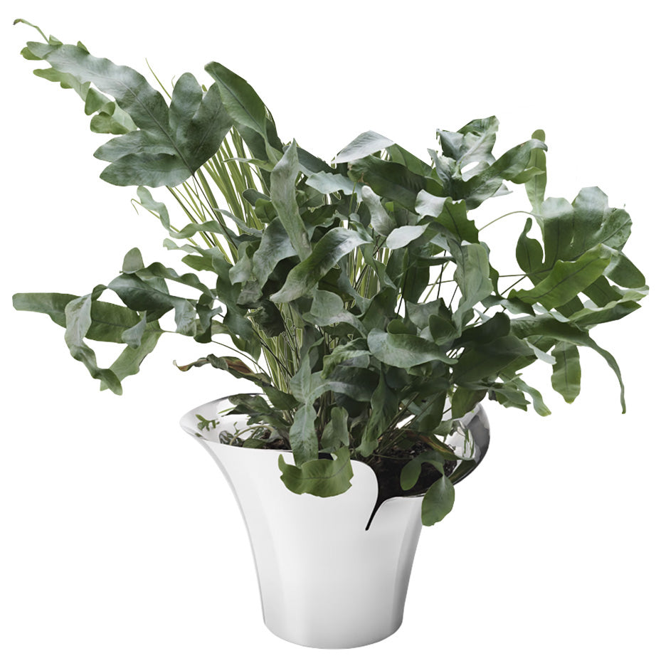 Bloom Botanica Flower Pot