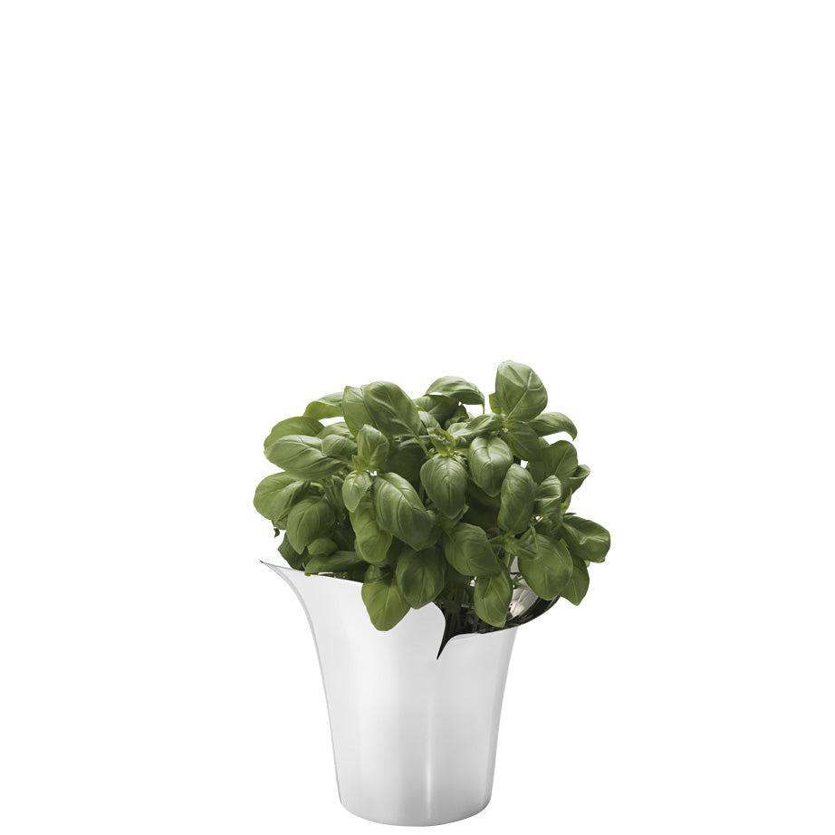 Bloom Botanica Flower Pot