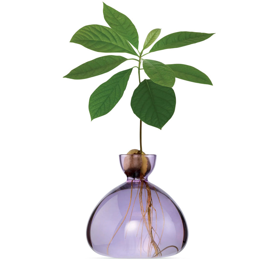 Avocado Vase