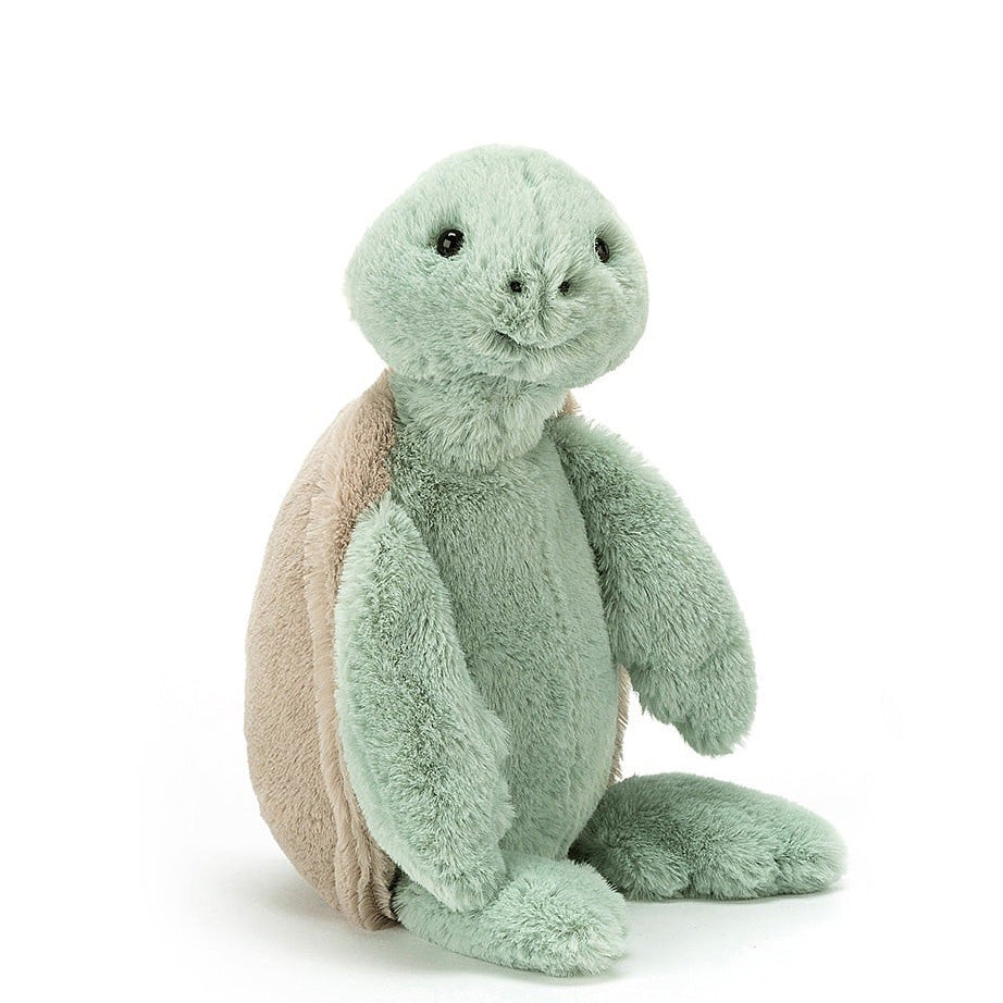 Bashful Turtle