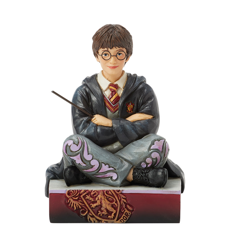 Harry Potter Collection