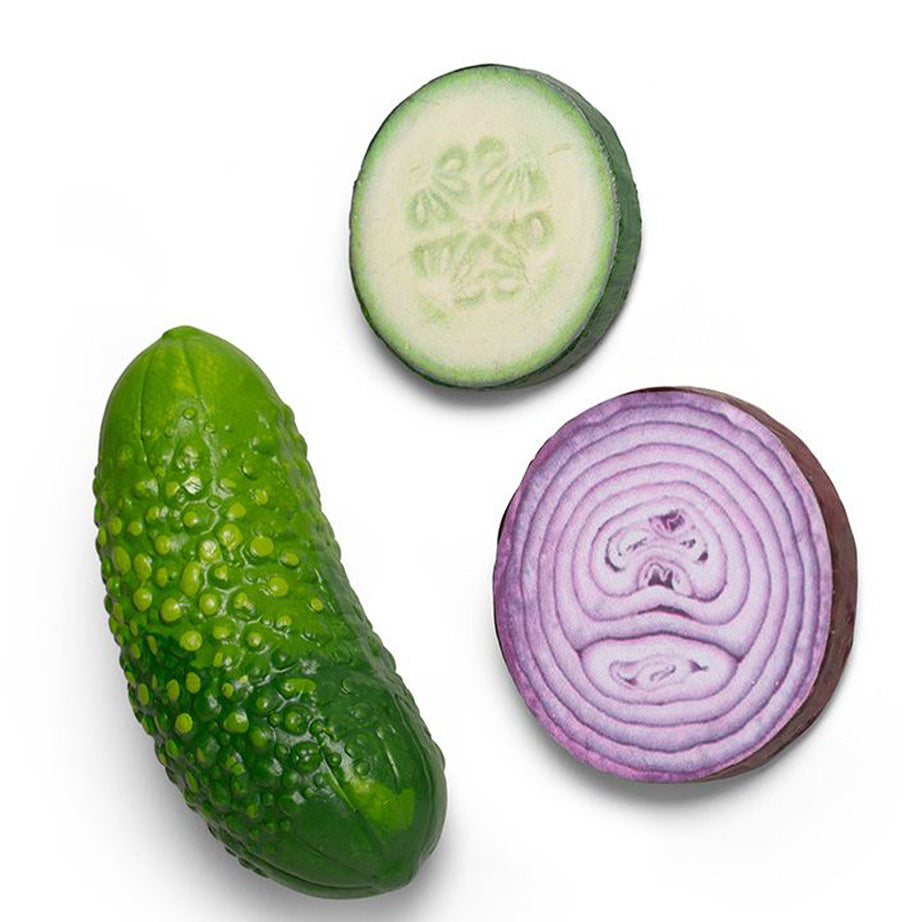 Vegetable Magnets