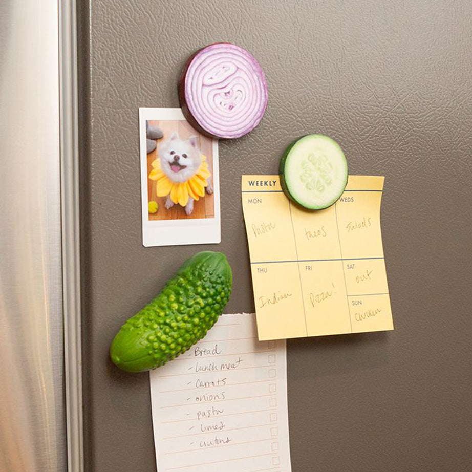 Vegetable Magnets