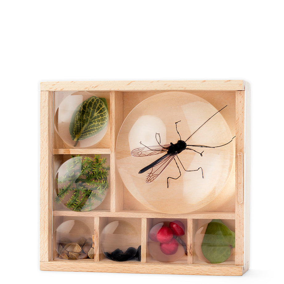 Huckleberry Collection