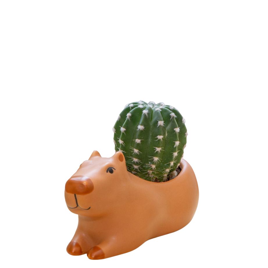 Cappy the Capybara Planter