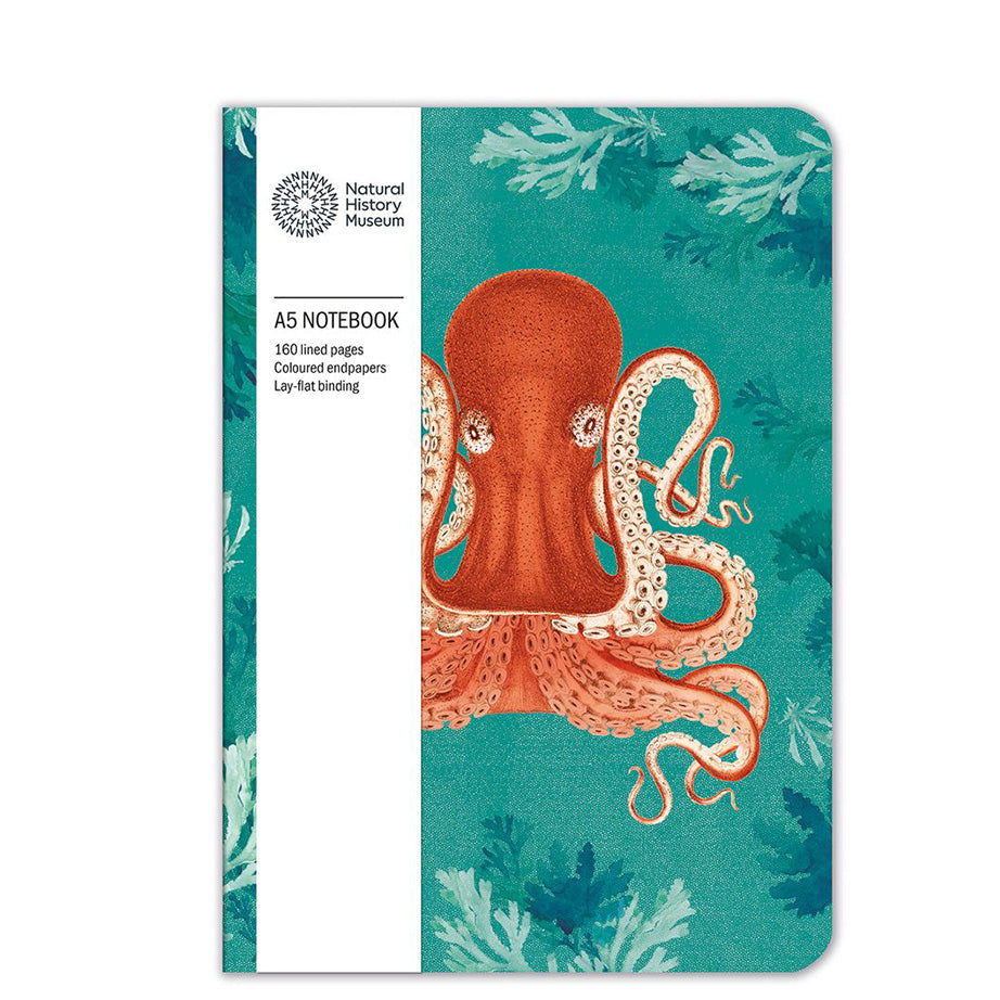 Museums & Galleries Notebooks