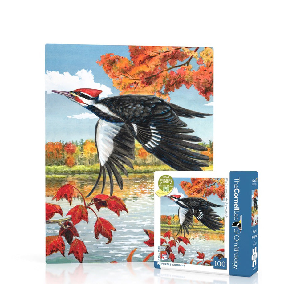 Cornell Lab of Ornithology Mini Puzzles