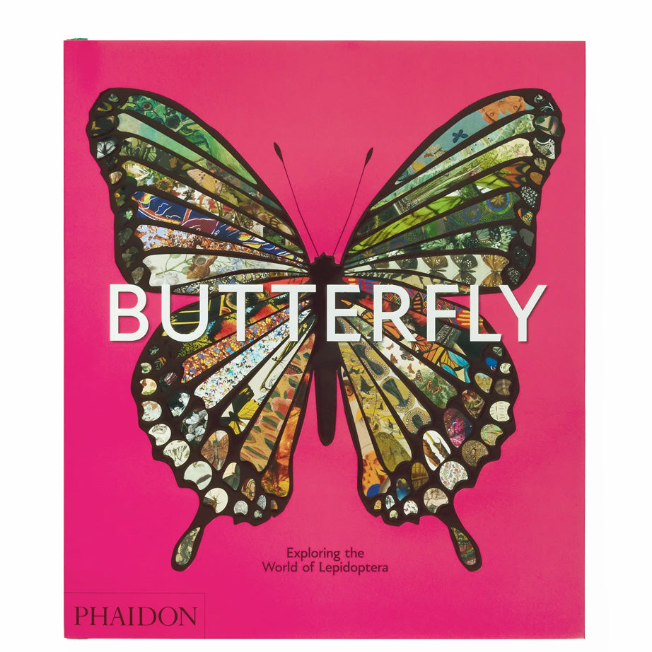 Butterfly: Exploring the World of Lepidoptera