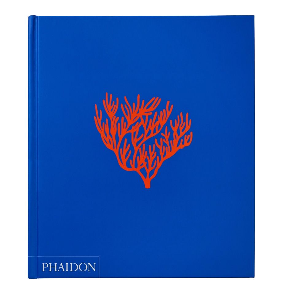 Ocean: Exploring the Marine World