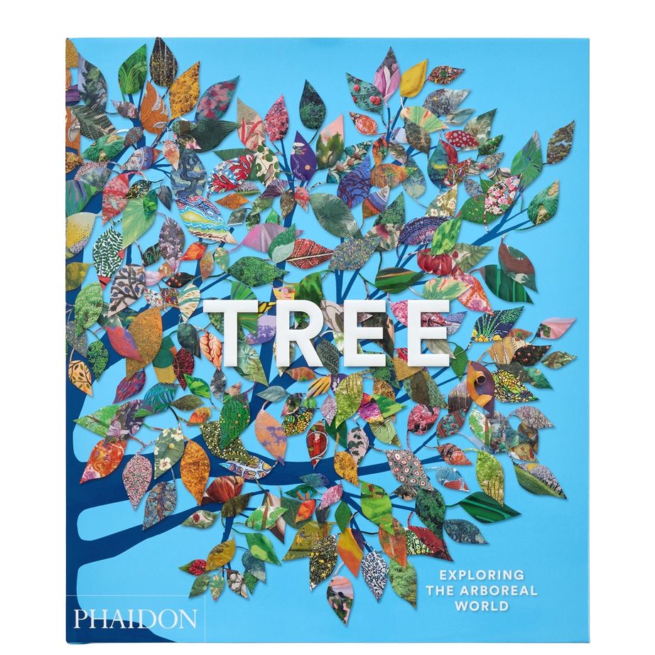 Tree: Exploring the Arboreal World