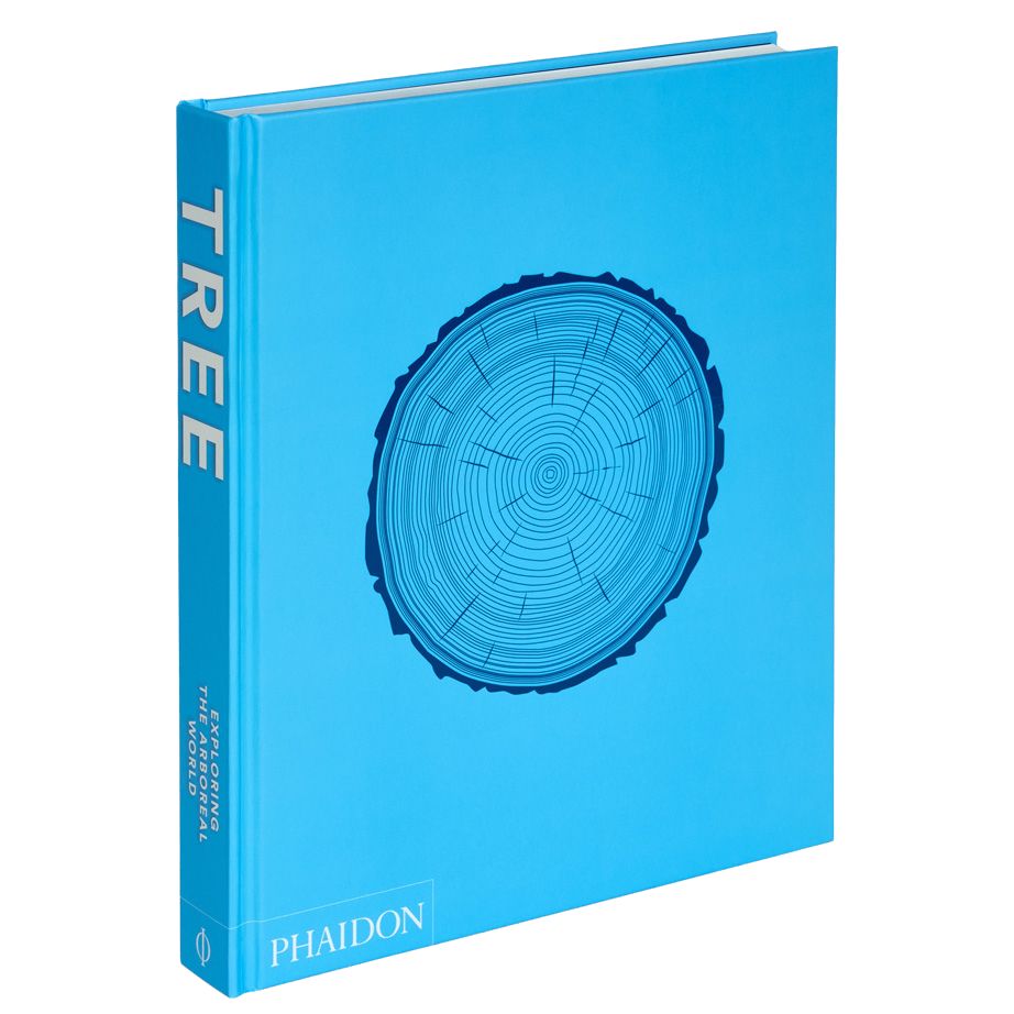 Tree: Exploring the Arboreal World