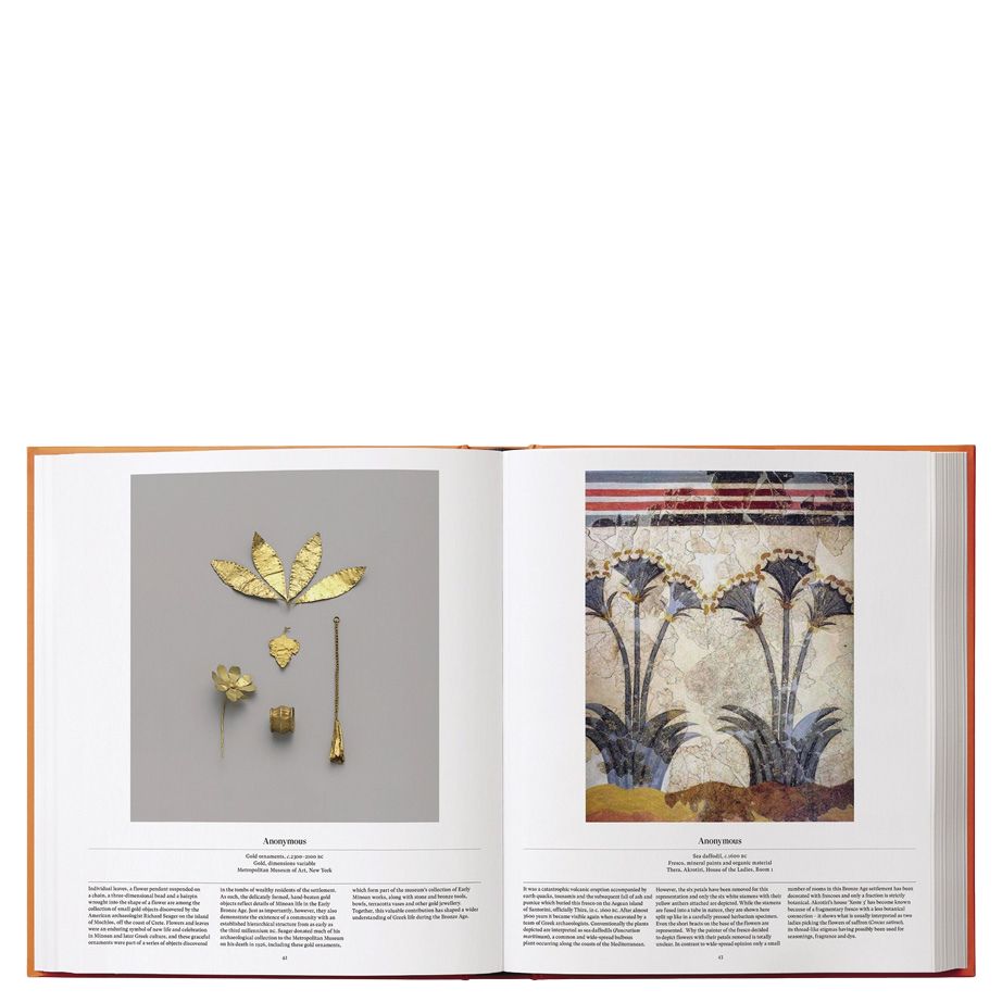 Flower: Exploring the World in Bloom