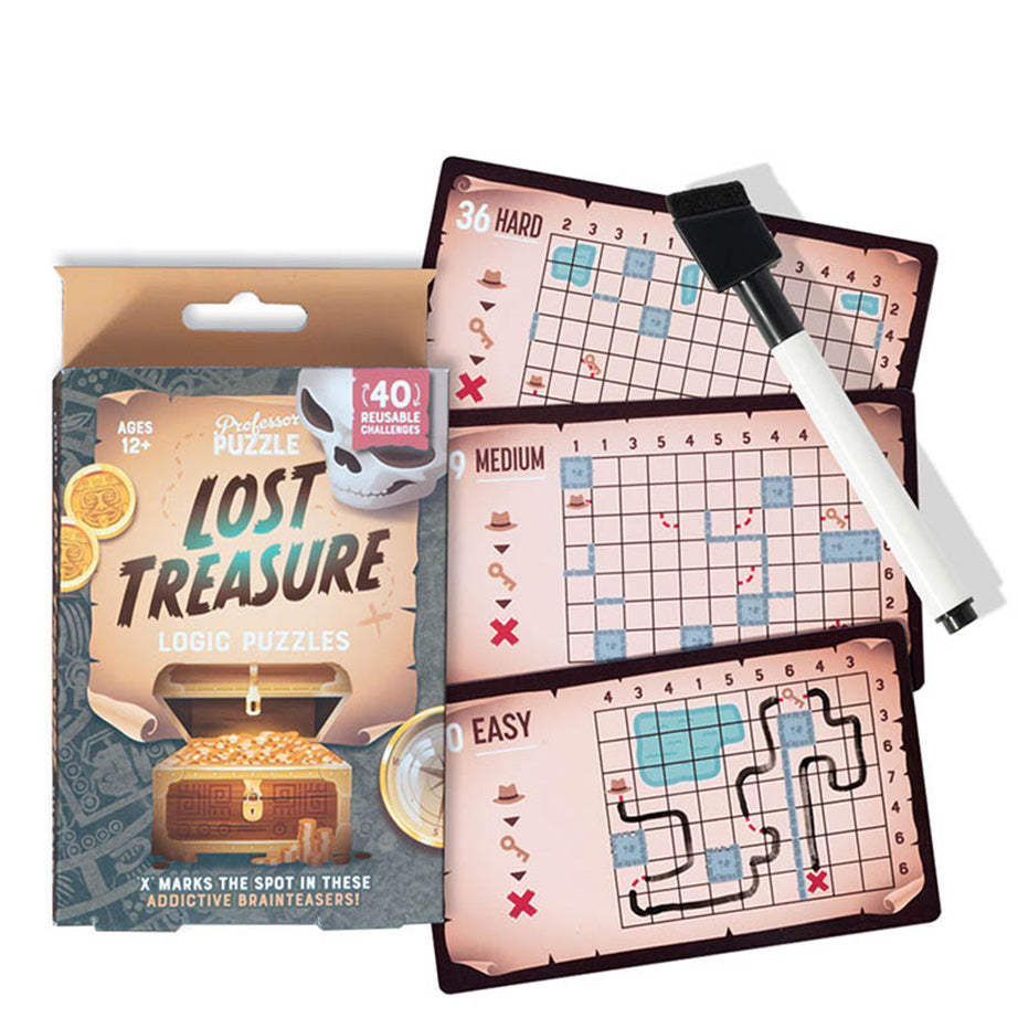 Professor Puzzle Logic Puzzles
