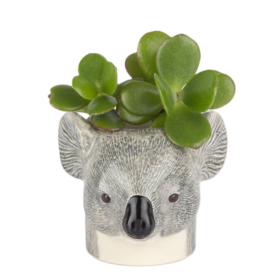 Quail Ceramics Mini Pots