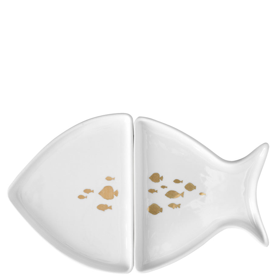 Underwater World Collection