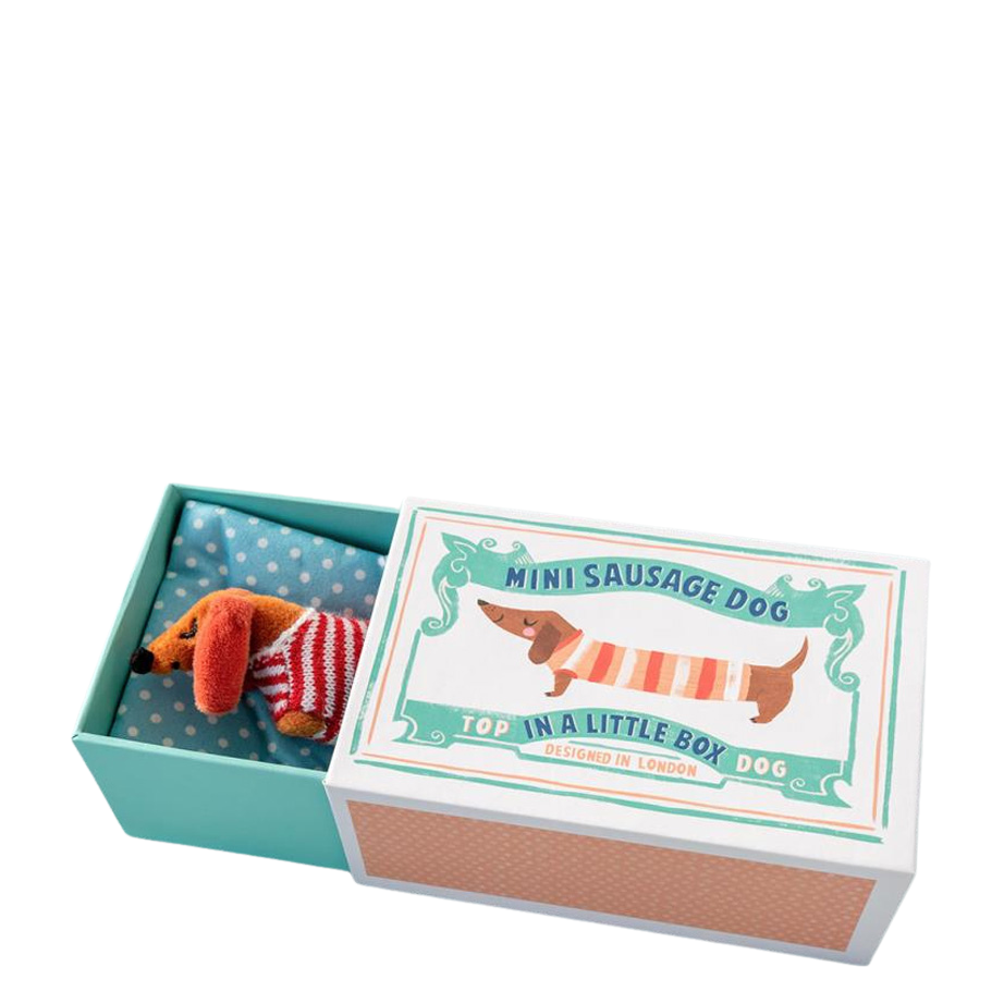 Mini Animal in a Box