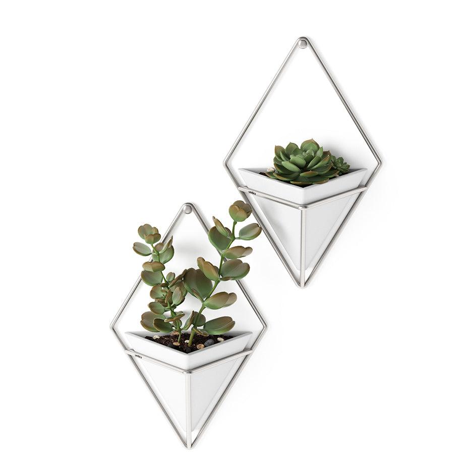 Trigg Wall Vessel | Set of 2