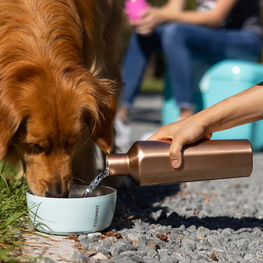 Corkcicle | Dog Bowl