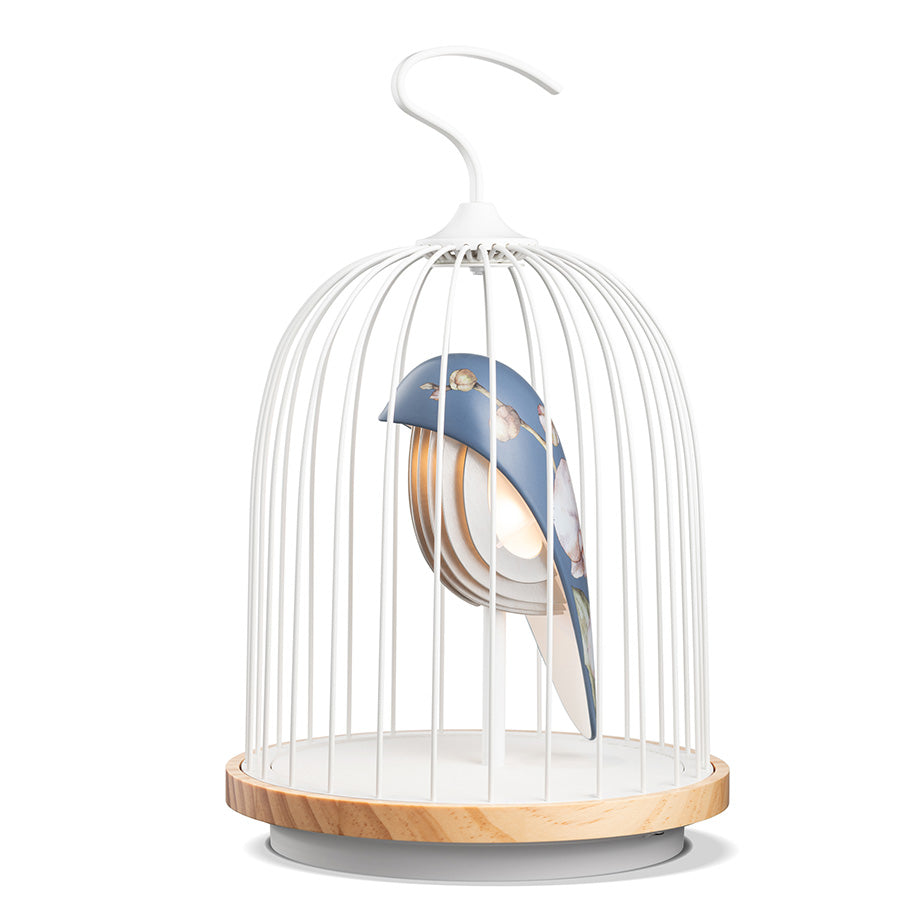 JinGoo Bluetooth Speaker | Floral Collection