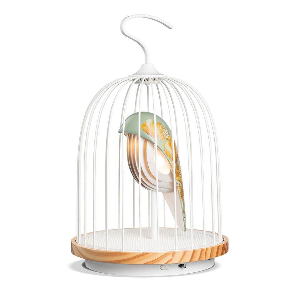 JinGoo Bluetooth Speaker | Floral Collection