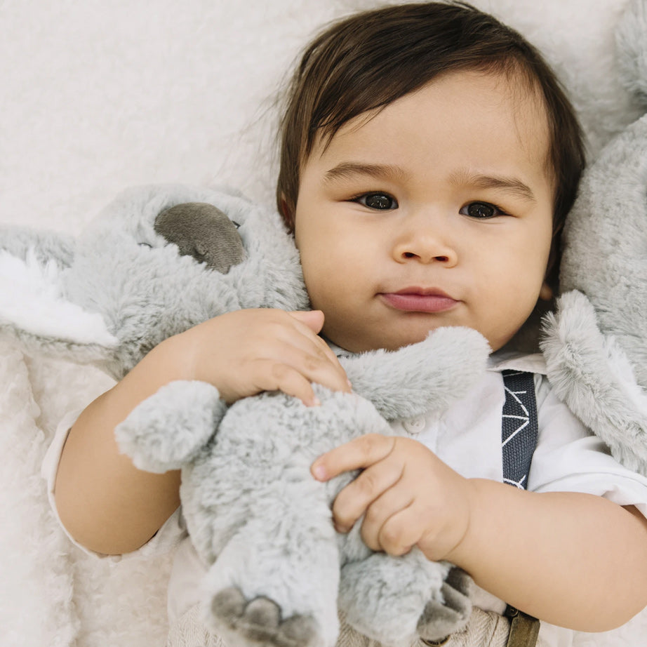 Shay Toothpick Koala Bear