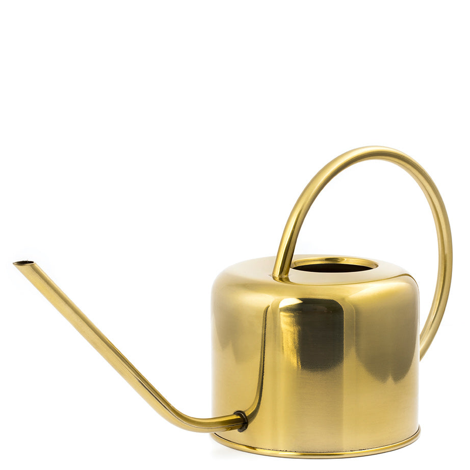 Vintage Watering Can