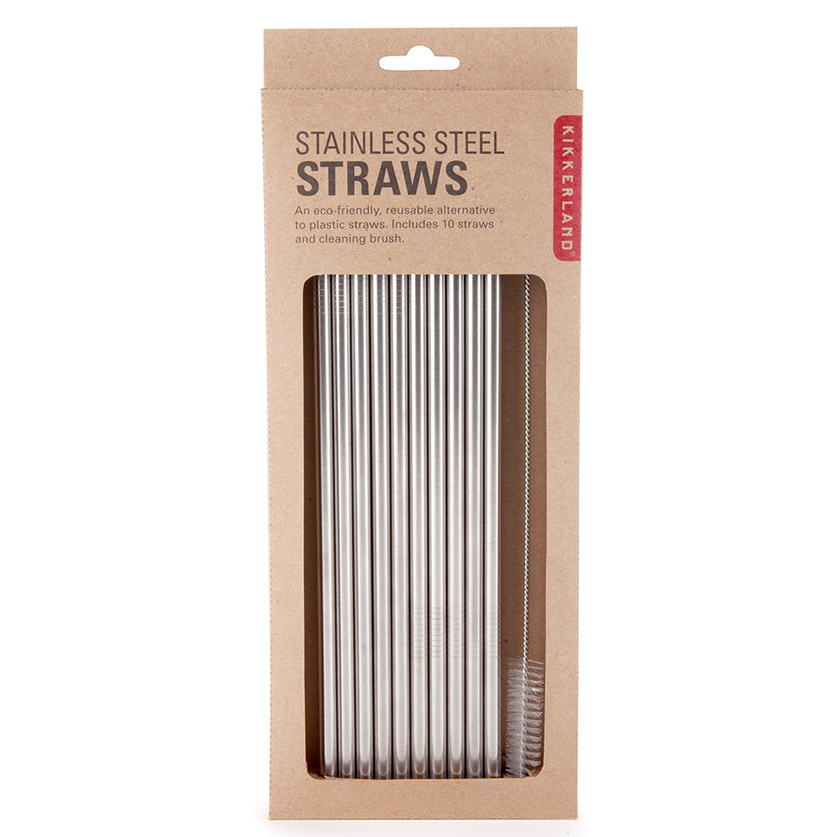 Stainless Steel Straws | Set of 10