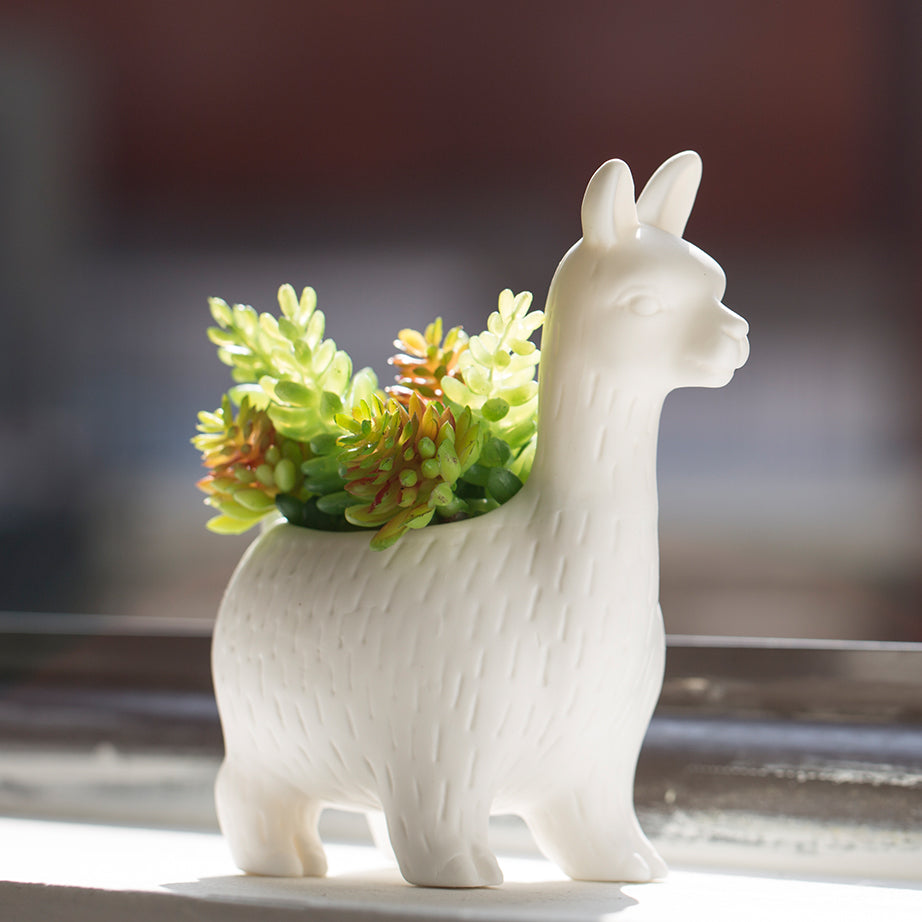 Kikkerland Lloyd the Llama Planter PL08