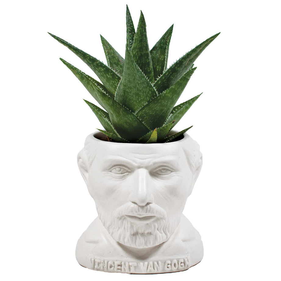 Fertile Minds Planters