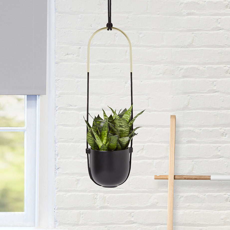 Umbra Bolo Hanging Planter