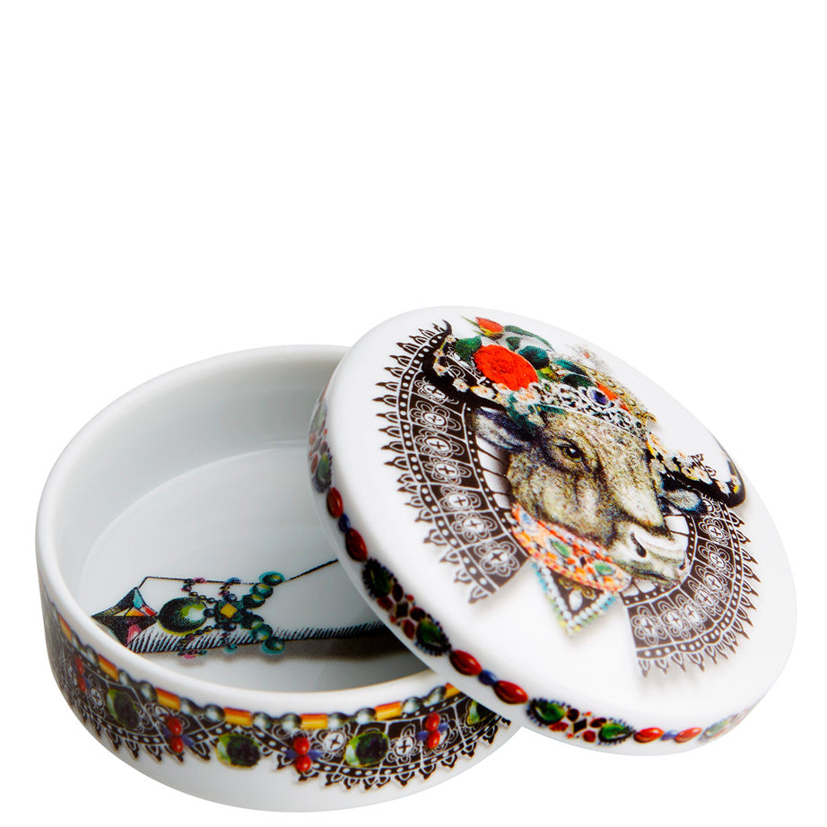 Love Who You Want | Round Boxes