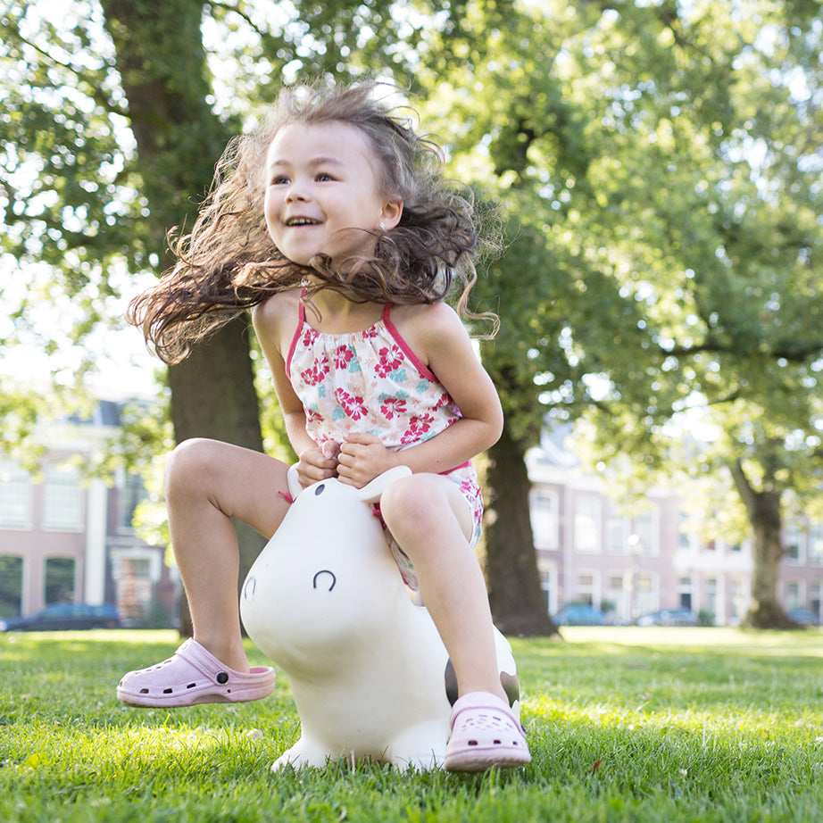 Jumping Ride On Toys