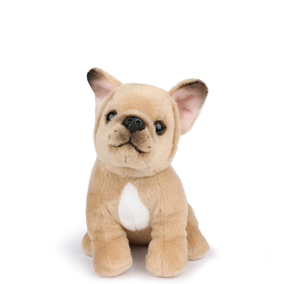 B.T. Chaps Collection | Dogs