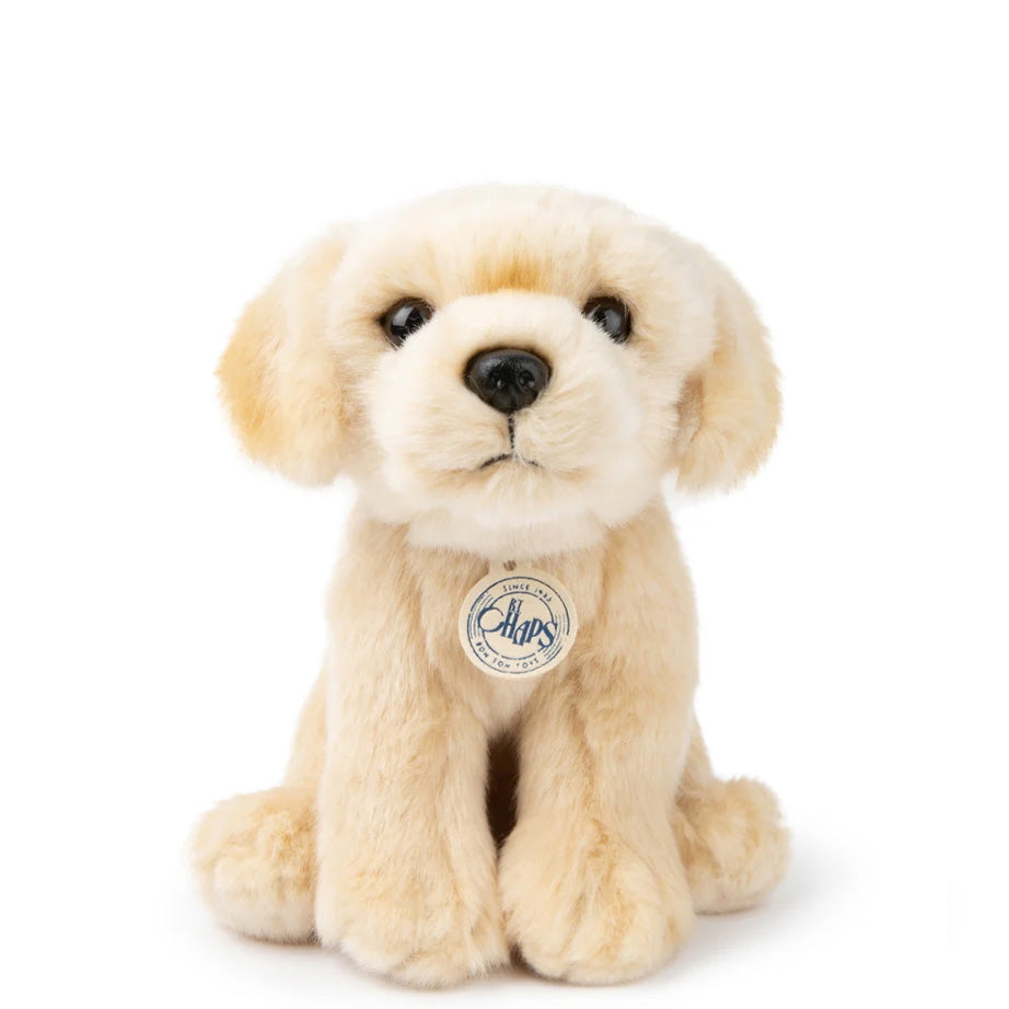 B.T. Chaps Collection | Dogs