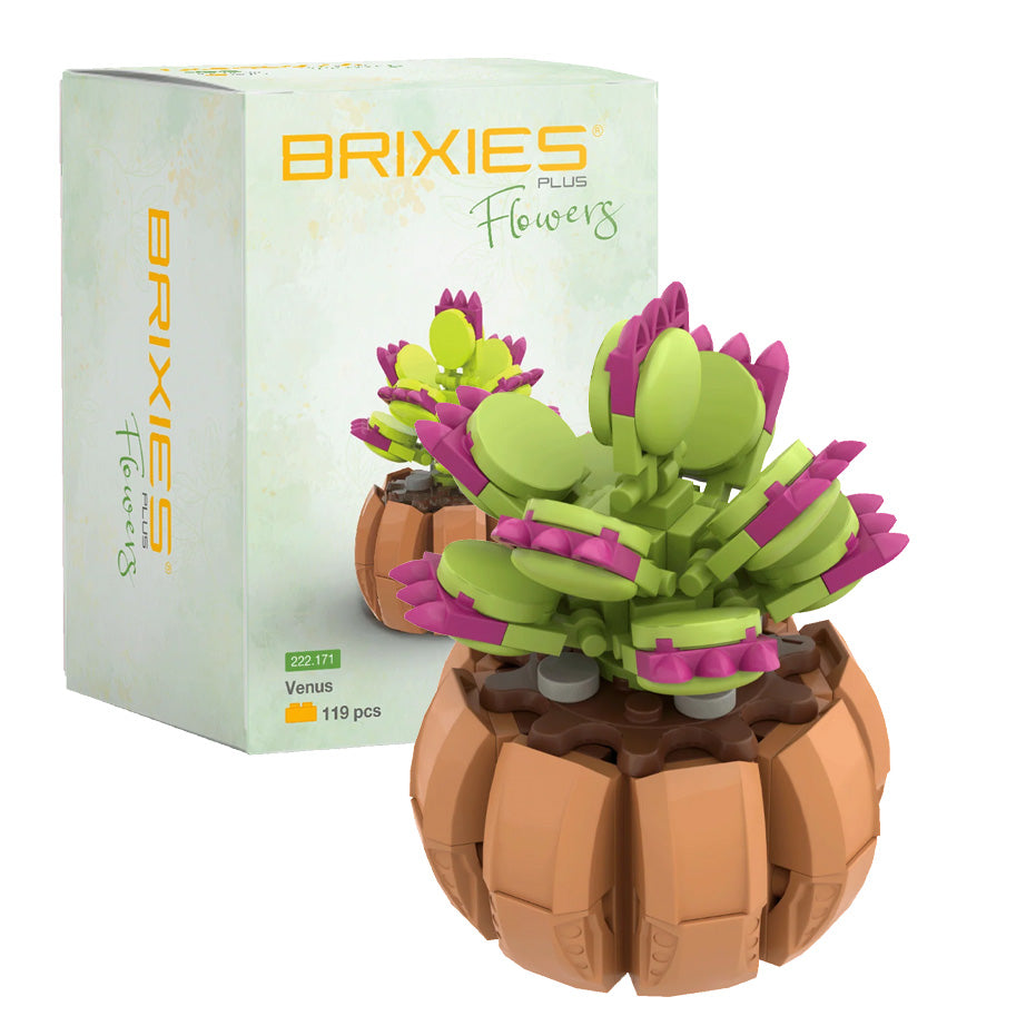 Brixies Plus Flowers