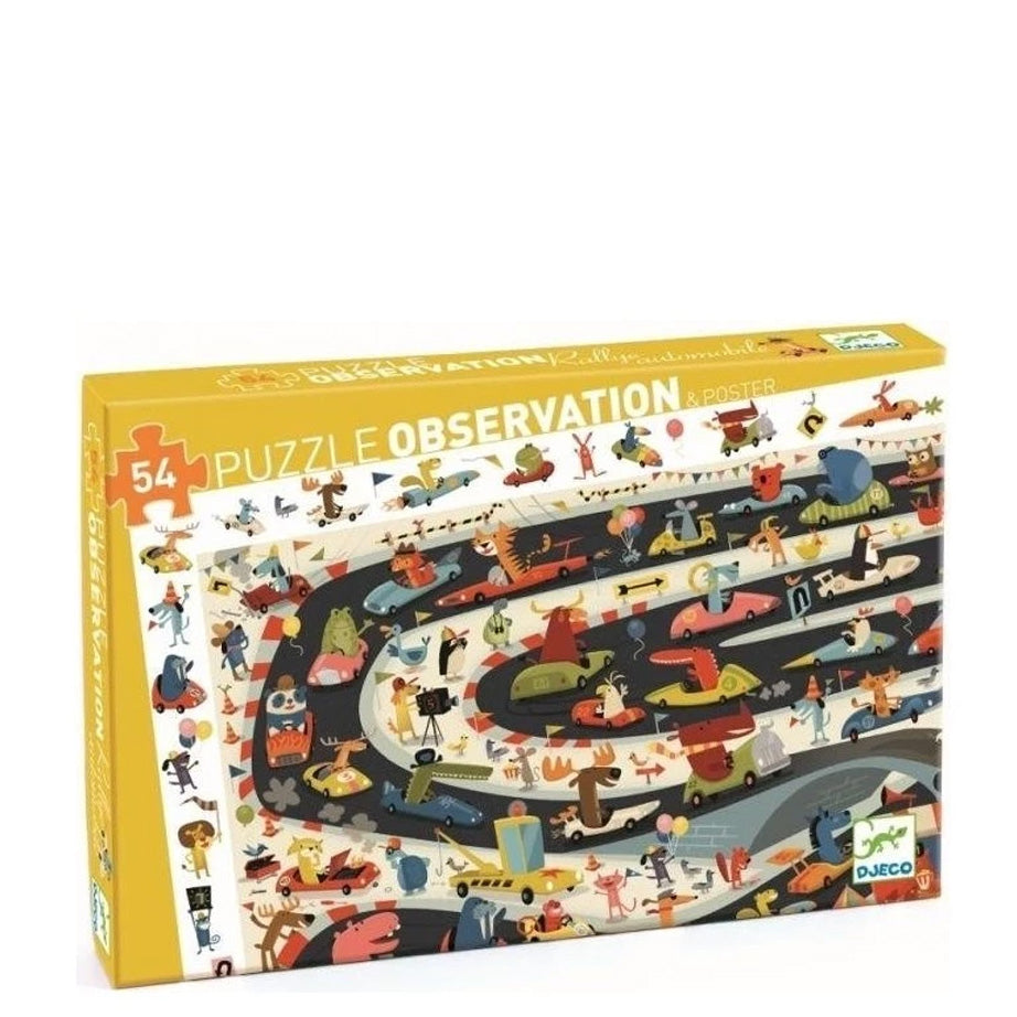 Observation Puzzles