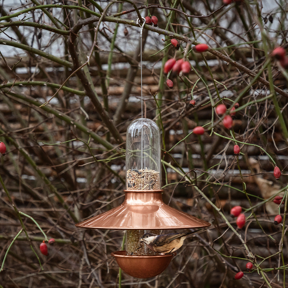 De Luxe Bird Feeder