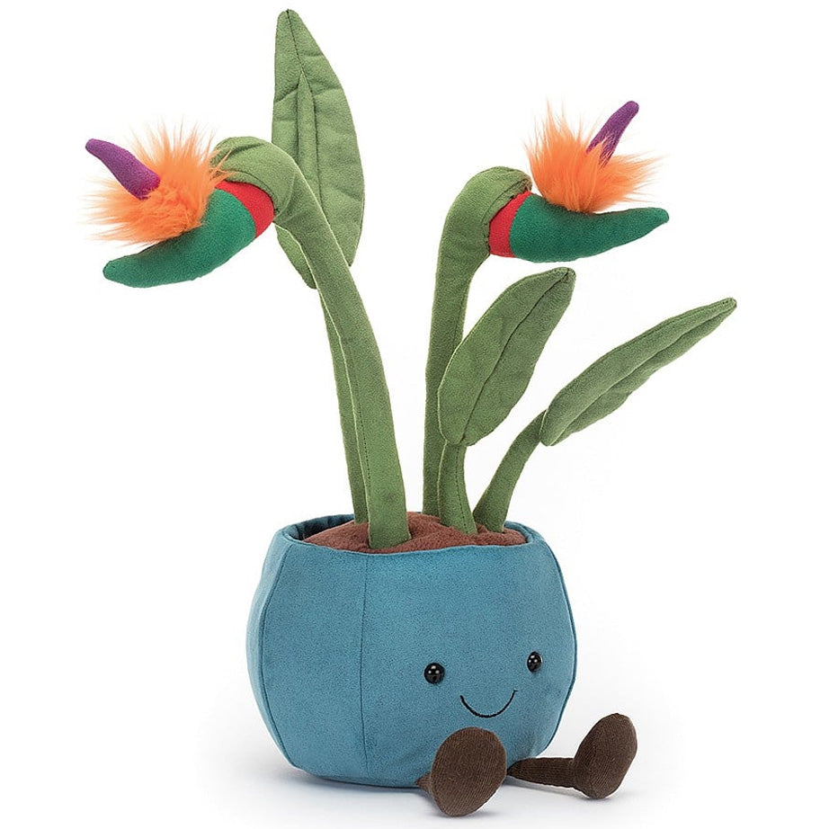 Amuseable | Flower Pots