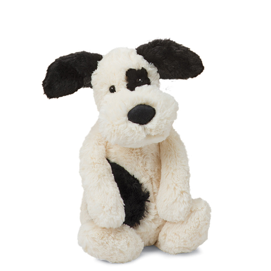 Black & Cream Puppy