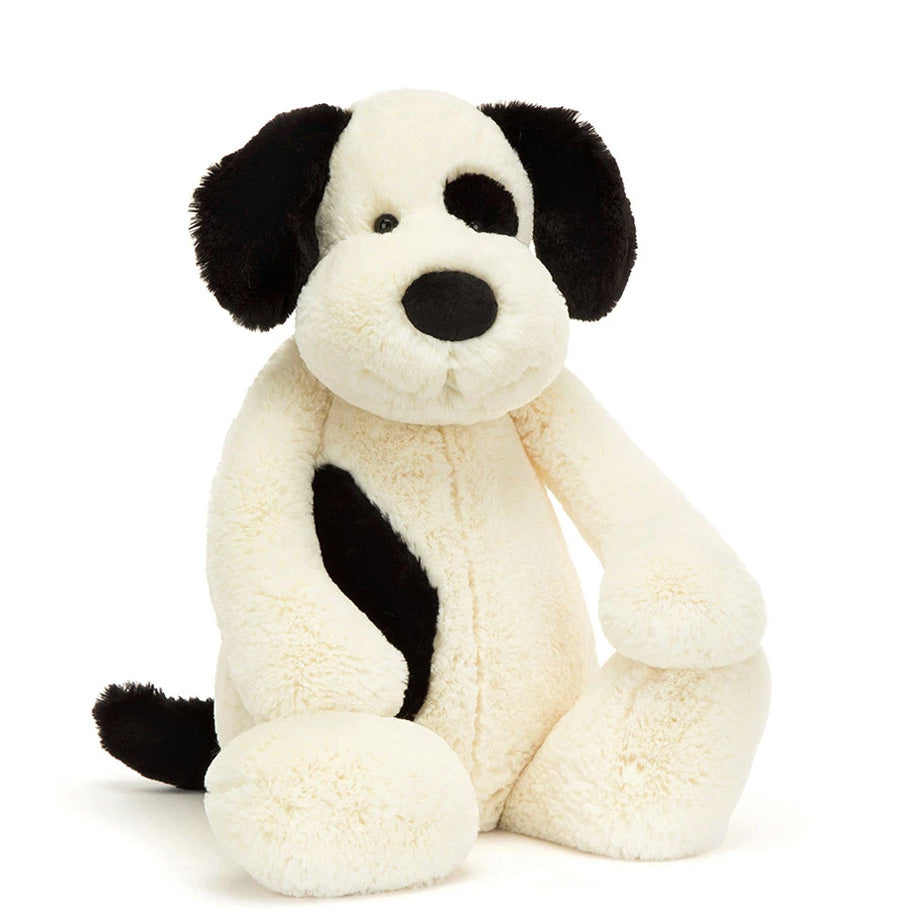 Black & Cream Puppy