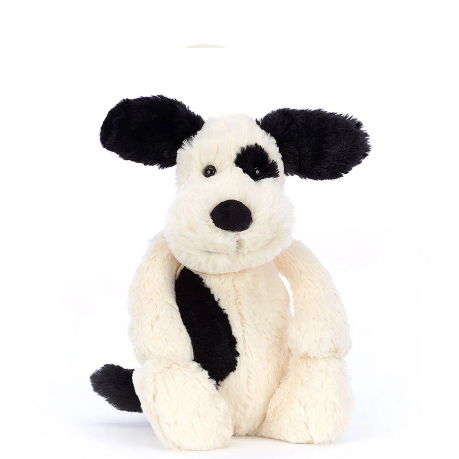 Black & Cream Puppy