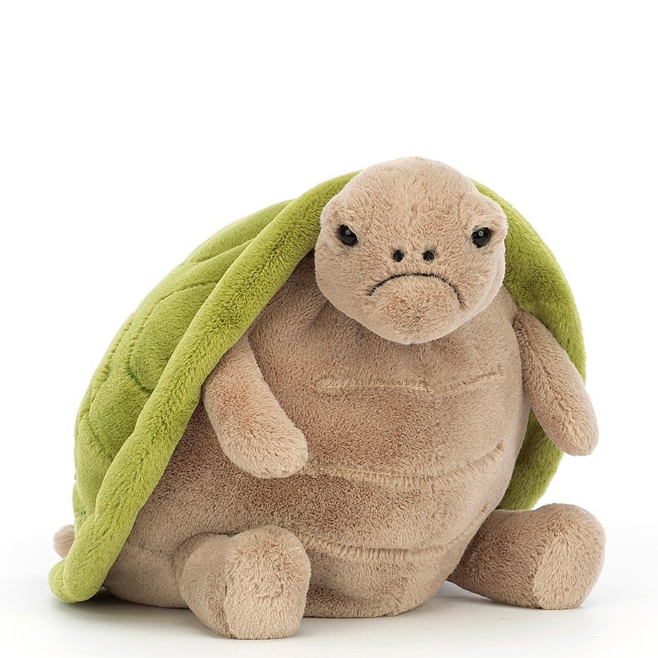 Timmy Turtle
