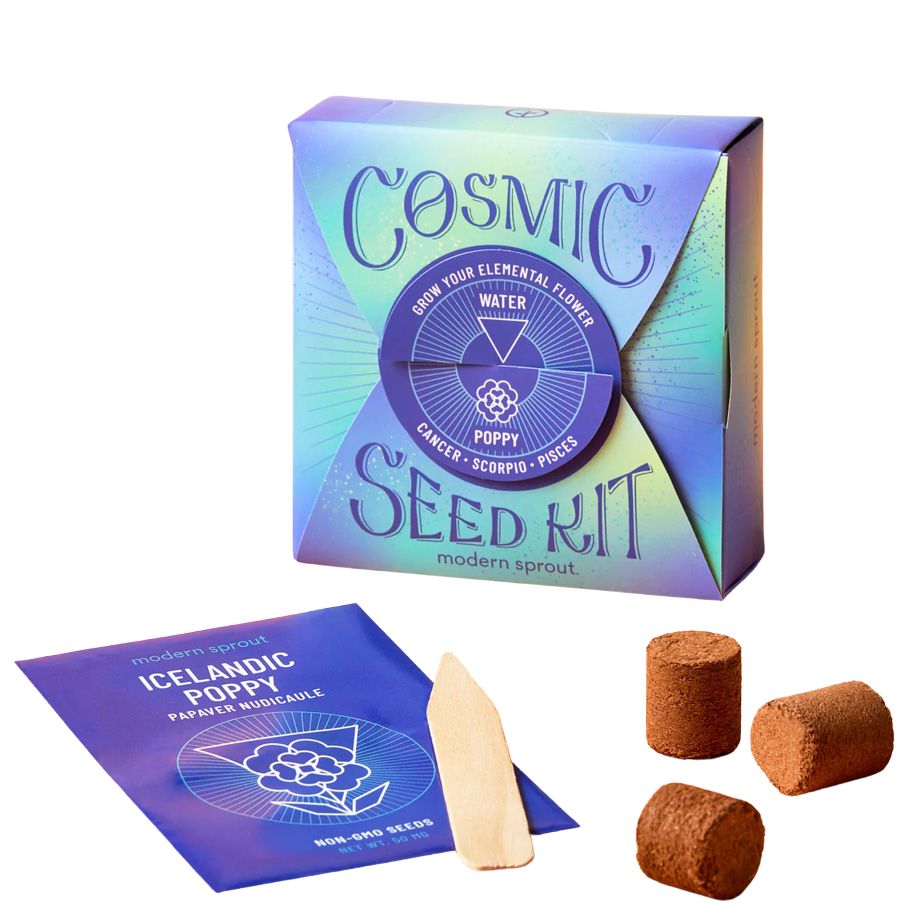 Modern Sprout Cosmic Seed Kits